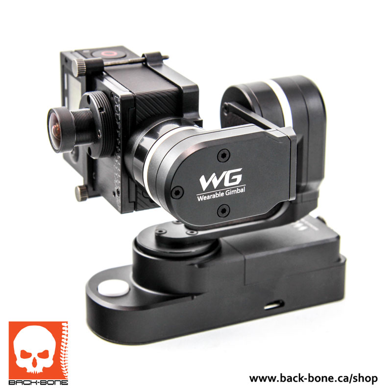 WG2